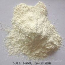 100-120 Mesh Garlic Powder with Good Quality